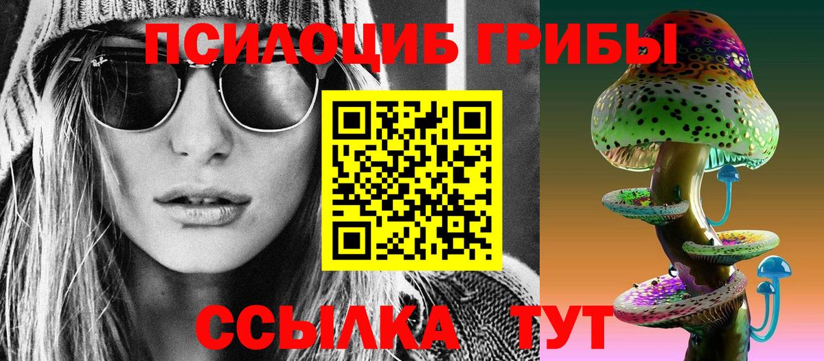 Бугульма  где купить   Вход с VPN  Галлюциногенные грибы Psilocybe  Галлюциногенные грибы прущие грибы 