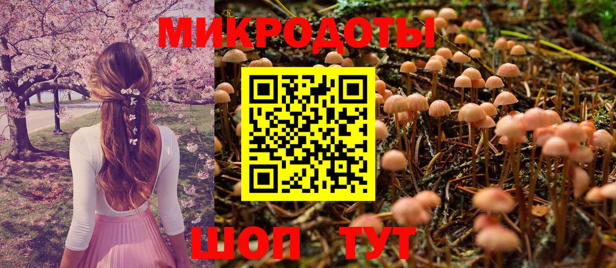 Псилоцибиновые грибы GOLDEN TEACHER Бугульма